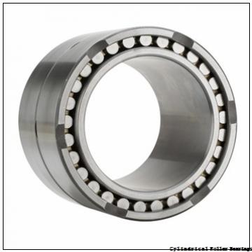 220 mm x 300 mm x 48 mm  Timken NCF2944V Cylindrical Roller Bearings
