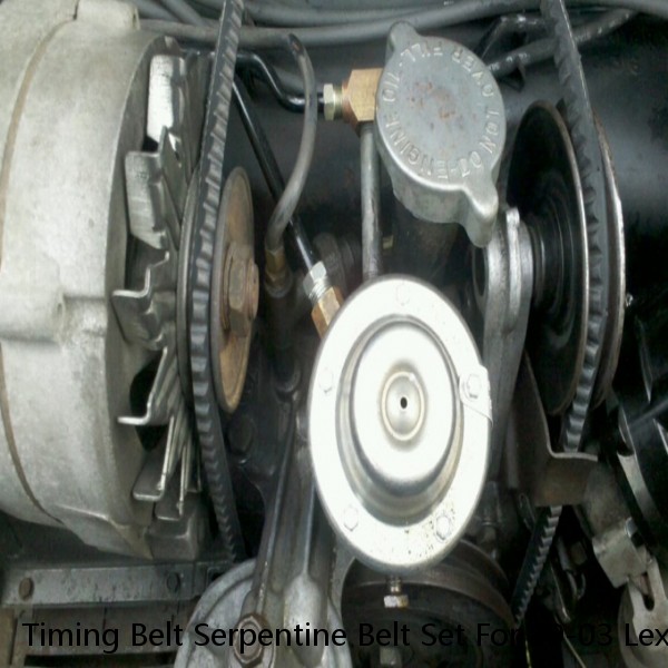 Timing Belt Serpentine Belt Set For 99-03 Lexus RX300 01-03 Sienna 3.0L V6 1MZFE