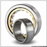 FAG NU1026-M1-C3 Cylindrical Roller Bearings