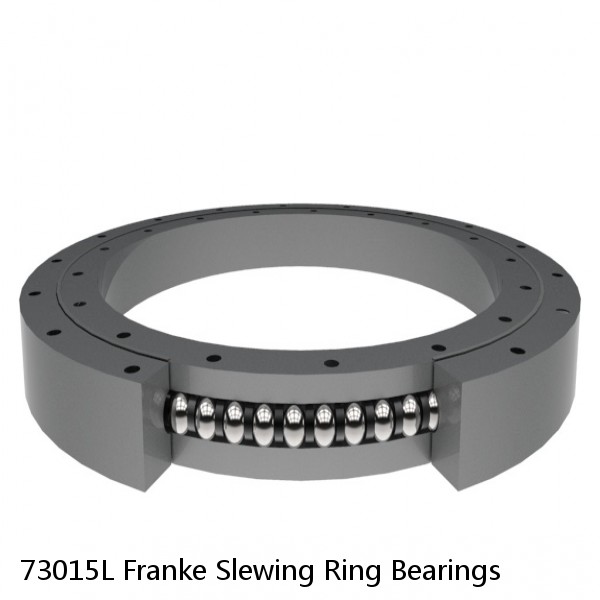 73015L Franke Slewing Ring Bearings #1 small image