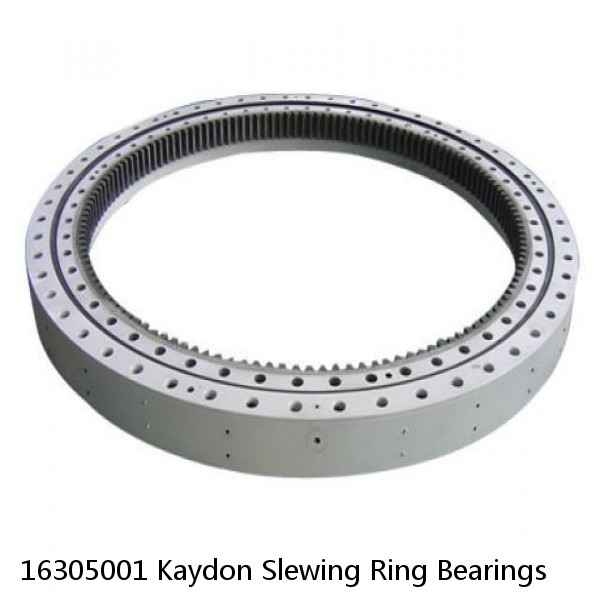 16305001 Kaydon Slewing Ring Bearings #1 small image