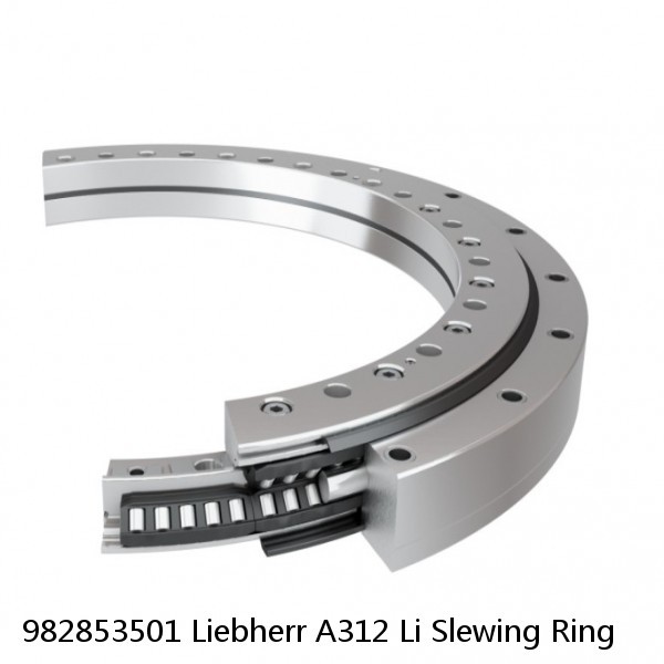 982853501 Liebherr A312 Li Slewing Ring #1 small image