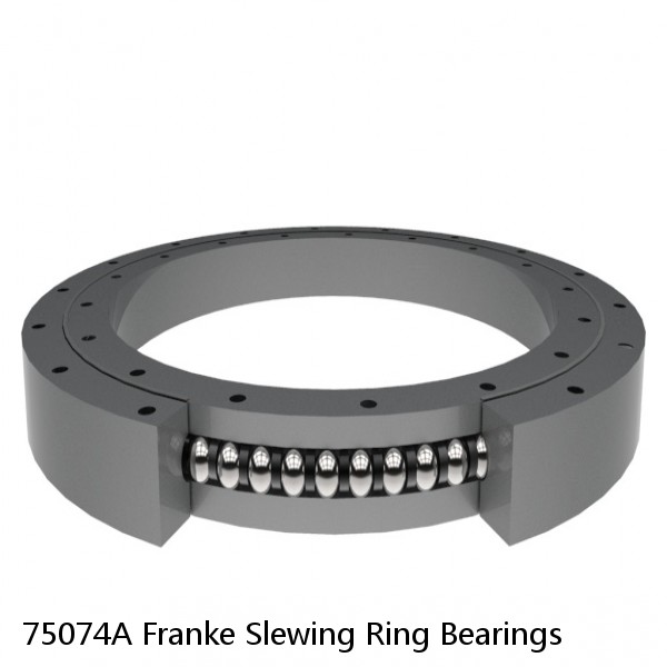 75074A Franke Slewing Ring Bearings #1 small image