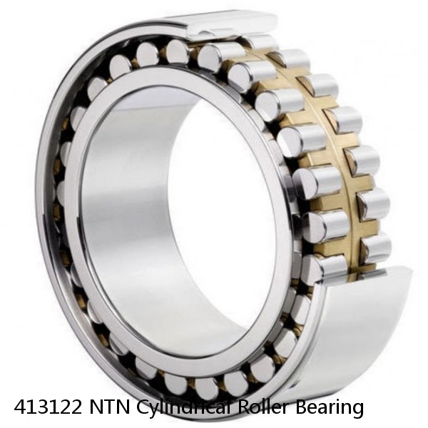413122 NTN Cylindrical Roller Bearing #1 small image