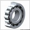 65 mm x 120 mm x 23 mm  FAG NU213-E-TVP2 Cylindrical Roller Bearings #1 small image