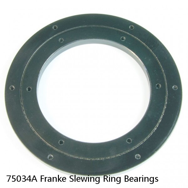 75034A Franke Slewing Ring Bearings #1 image