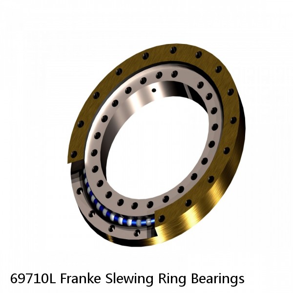 69710L Franke Slewing Ring Bearings #1 image