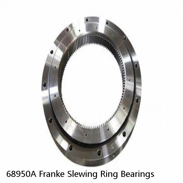 68950A Franke Slewing Ring Bearings #1 image