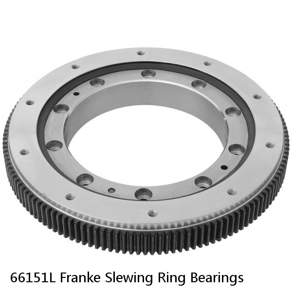 66151L Franke Slewing Ring Bearings #1 image