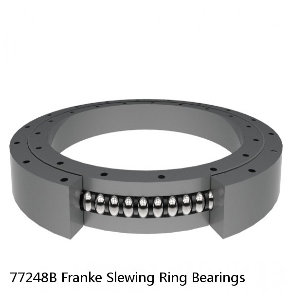 77248B Franke Slewing Ring Bearings #1 image