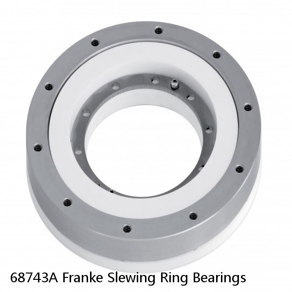 68743A Franke Slewing Ring Bearings #1 image