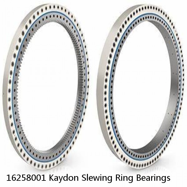 16258001 Kaydon Slewing Ring Bearings #1 image