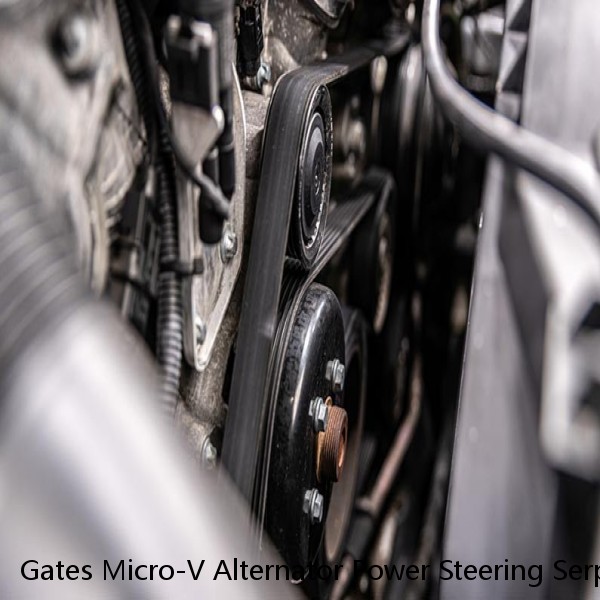 Gates Micro-V Alternator Power Steering Serpentine Belt for 2000-2004 vs #1 image