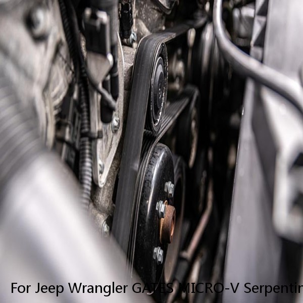 For Jeep Wrangler GATES MICRO-V Serpentine Belt 2.5L 4.0L L4 L6 1995-2002 vs #1 image