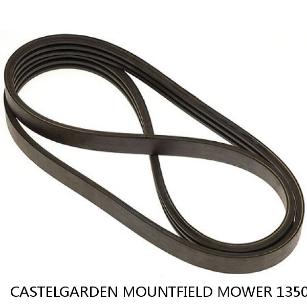 CASTELGARDEN MOUNTFIELD MOWER 135065601/0 TOOTHED BLADE TIMING BELT 225T 1800MM #1 image